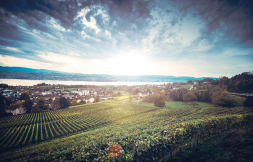 Weingut Erich Meier Uitikon